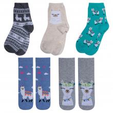 Комплект из 5 пар детских носков RuSocks (Орудьевский трикотаж) микс 1