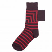 Мужские носки ТМ NIKITAI (Нева-Сокс) №НС02 PORTLAND, коричнево-красные